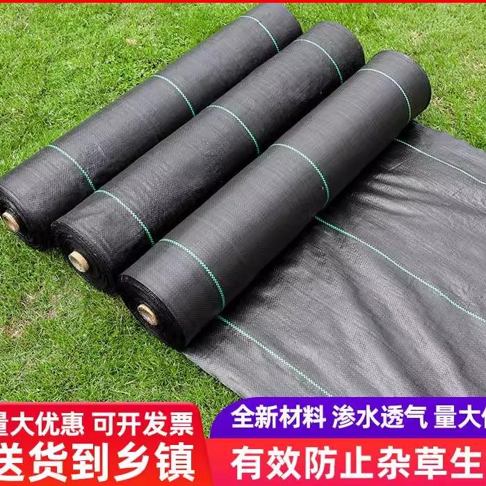 防草布除草片农用园林隔草布果树打孔布片透水透气盖草布园艺地布