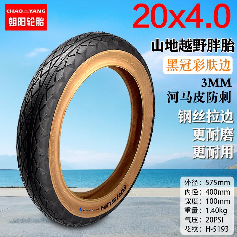 电动自行车胖胎20x4.0/20x5.0内外胎26x4.0里外带ARISUN朝阳轮胎
