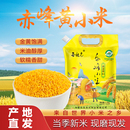 赤峰黄小米2025年农家新米5斤煮粥煮饭营养月子米金苗K1赤峰发货