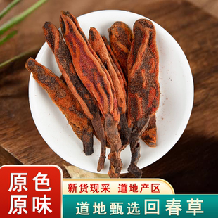 回春草中药材500g新货无硫顶天柱草苁蓉男性滋补泡酒茶