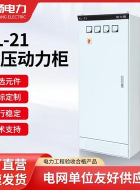 低压成套控制柜开关柜工地临时配电箱XL-21动力柜户外进出线柜
