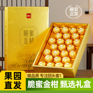 正宗 脆蜜金柑 广西融安第三代金桔奢金高端礼盒费列罗装独立包装