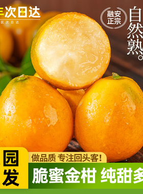 正宗广西融安脆蜜金桔第三代脆蜜金柑应季新鲜水果独立包装顺丰