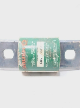 BrushFusesLCL-300TimeDelayBladeFuseL300aAmp600v-ac