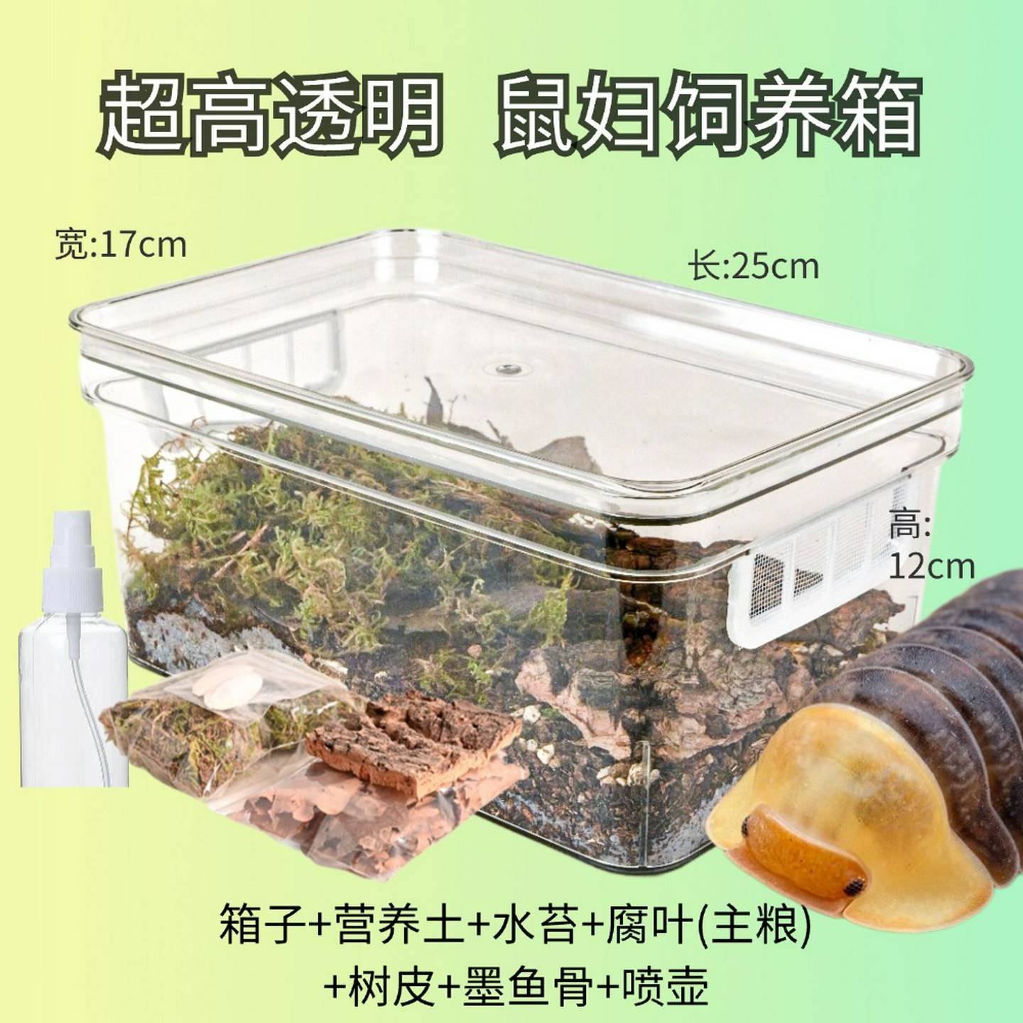 鼠妇饲养盒饲养箱鼠妇生态缸鼠妇饲养套餐鼠妇西瓜虫潮虫饲养盒