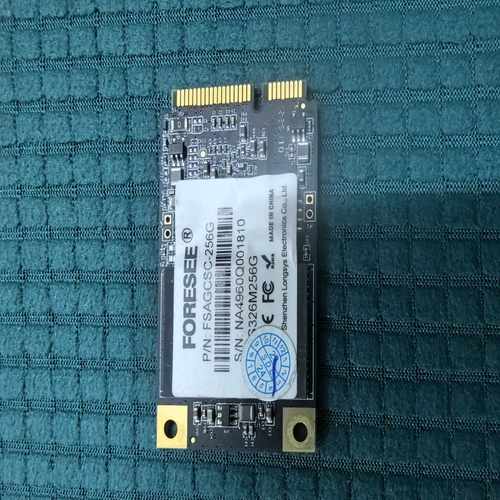出FORESEE固态硬盘，型号FSAGCSC-256G，MS--议价商品