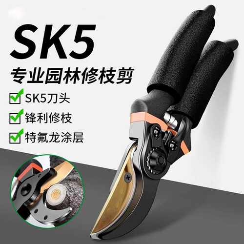 SK5剪枝剪刀园林花艺修剪树枝剪刀果树剪刀粗大花剪园艺剪子工具