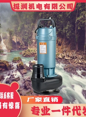 潜水泵220V小型污水泵家用抽水泵高扬程农用抽水机大流量灌溉排污