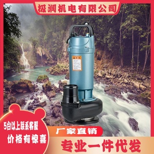 潜水泵220V小型污水泵家用抽水泵高扬程农用抽水机大流量灌溉排污