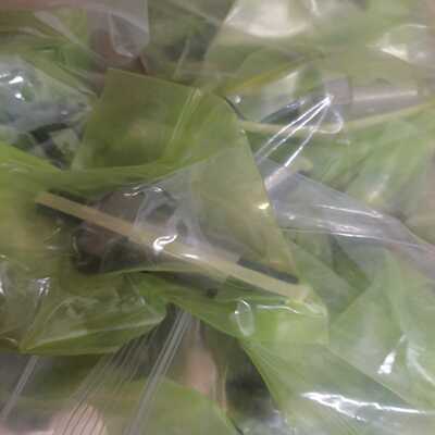 台湾TBI滚珠丝杆丝杠螺母套装SFAR01620A适用