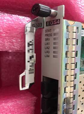 华为EGS4 TNF1EGS4-002 02310VNQ-0