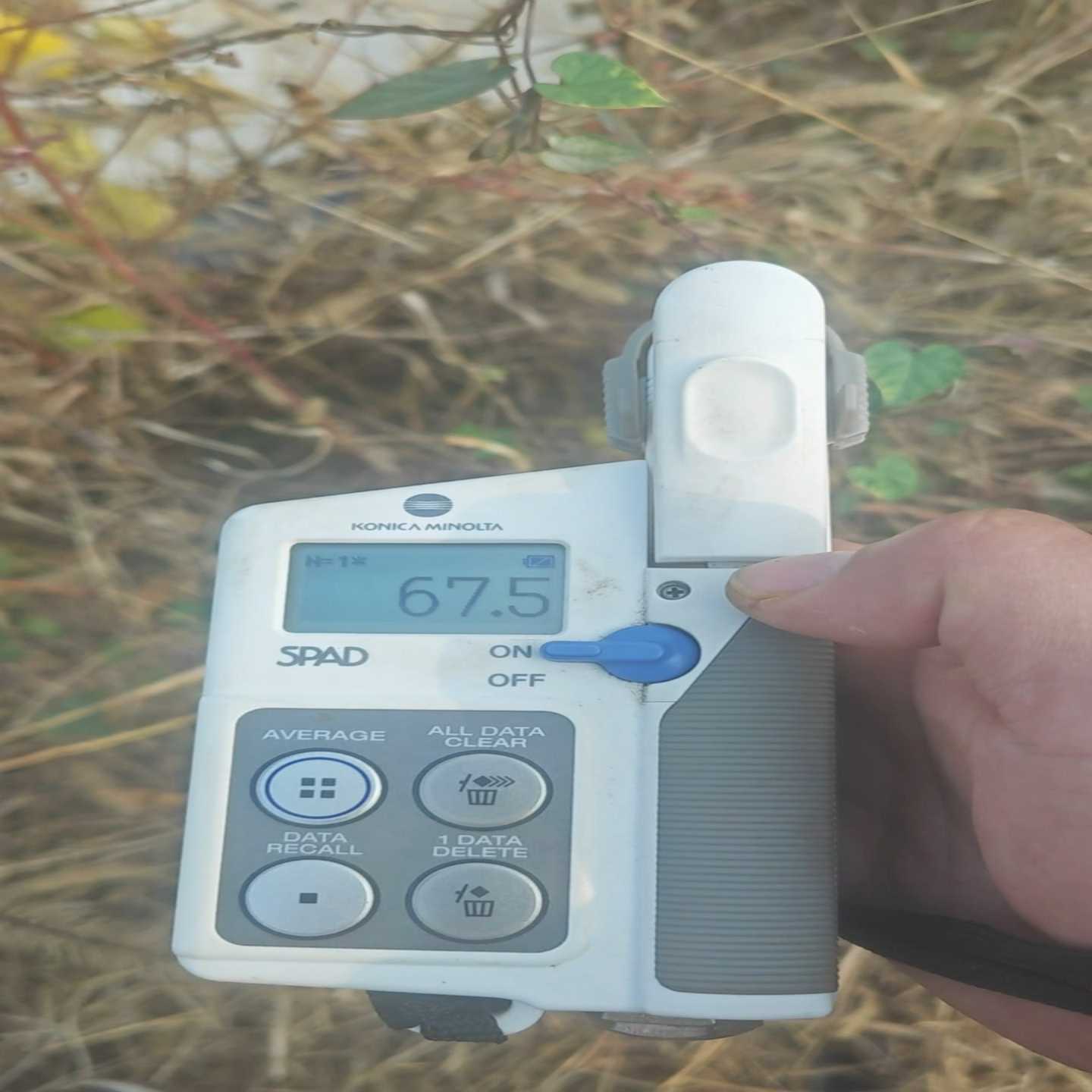 柯尼卡美能达spad-502plus叶绿素测定仪一个，正常使--议价商品