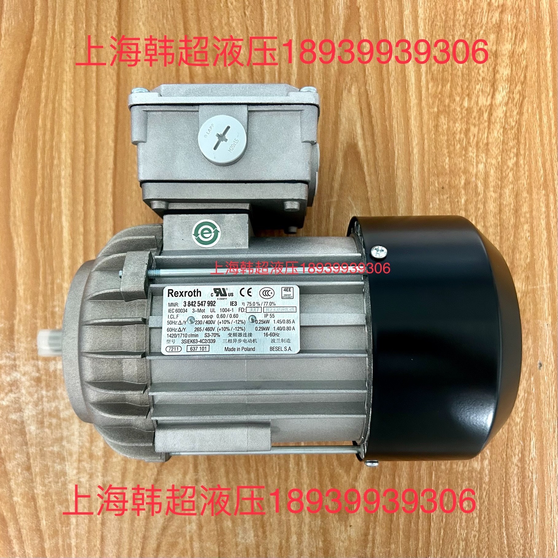 38425479923SIEK63-4C2/339德国Re询价