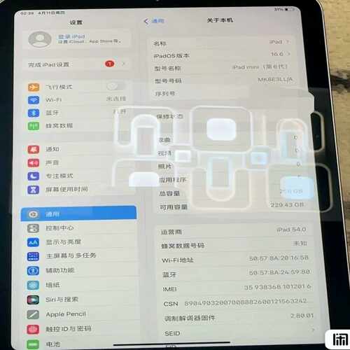 询价~mini6-256g5G插卡版