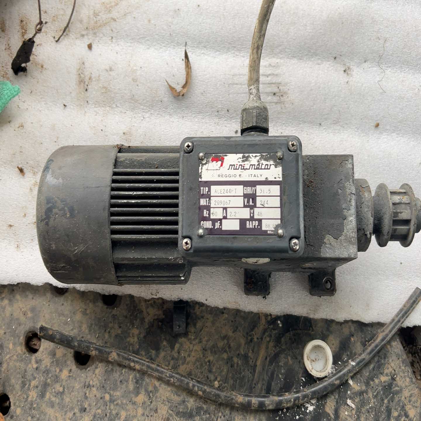 意大利Minimotor减速电机，型号ACE244PT，输--议价商品