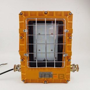 127L矿用隔爆型LED支架灯41W铸钢材质采掘工作面防爆照明灯 DGC41