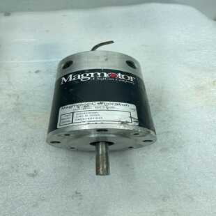 R44 300X 询价MAGMOTOR电机C40