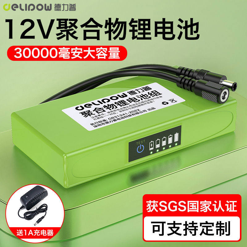 德力普12V聚合物锂电池组大容量户外便携移动电源24V大功率可