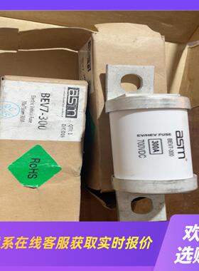 新能源ASTM博钺BEV7 -300A熔断器  保险丝新拍前询价下单