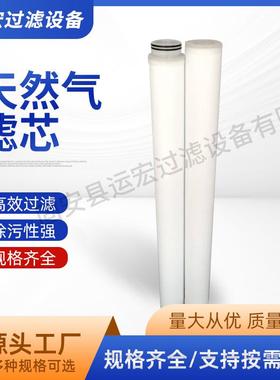 运宏天然气管道滤芯聚结分离过滤设备环保JPMG30226-SS厂家