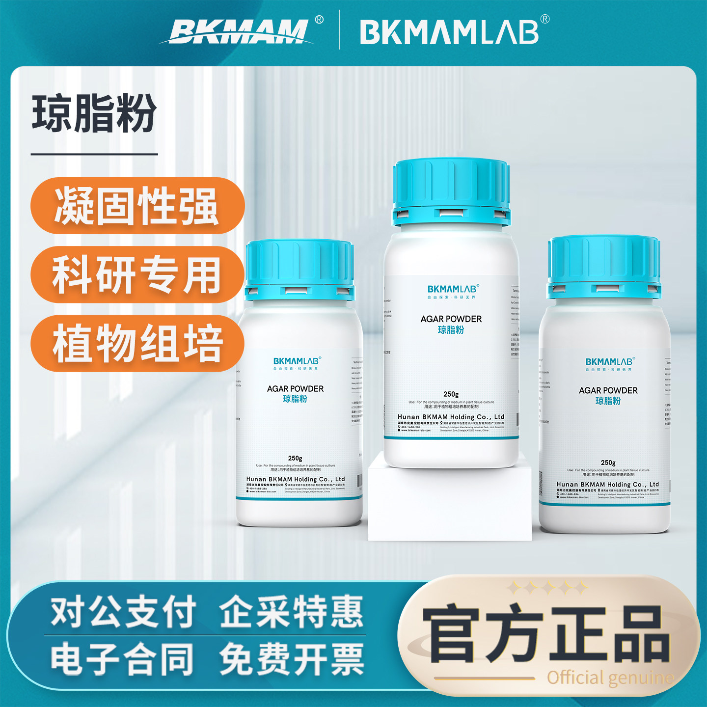 比克曼生物琼脂粉凝固剂高强度250g组培实验室细菌培养基原料