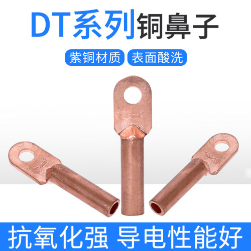 国标DT-10 16 25 35 50 70 平方铜鼻接线鼻接线端子堵油铜接头A级