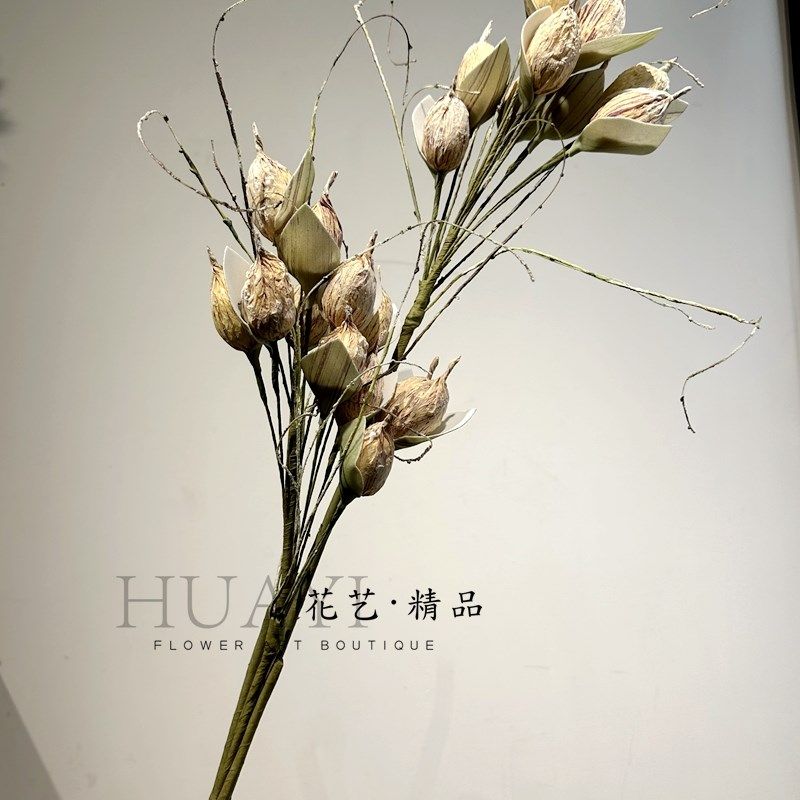 泡泡果枝条仿真枯枝野浆果插花素材软装花艺可剪裁弯曲造型,童装/婴儿装/亲子装,儿童装饰手表,淘宝优惠券,粉丝福利购,淘宝优惠卷