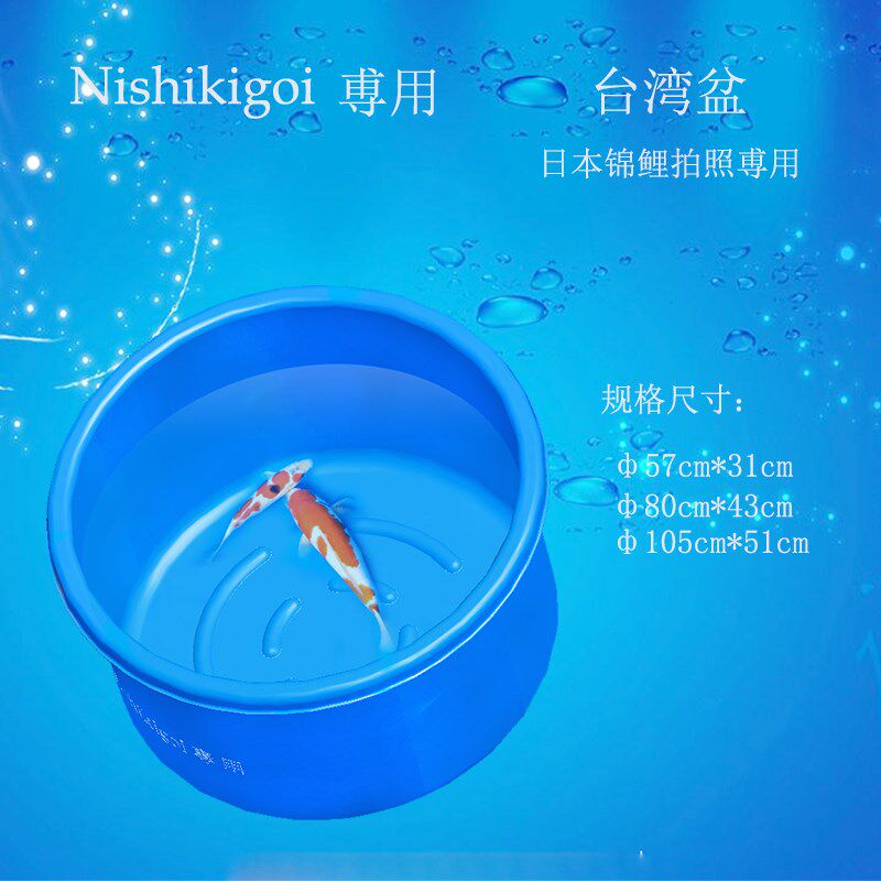 台湾盆 圆盆 蓝盆 拍照盆 量鱼盆 锦鲤盆 直播盆 拍卖周转盆