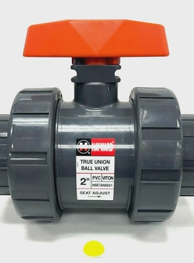 HAYWARDNSF/ANS161BALLVALVE2