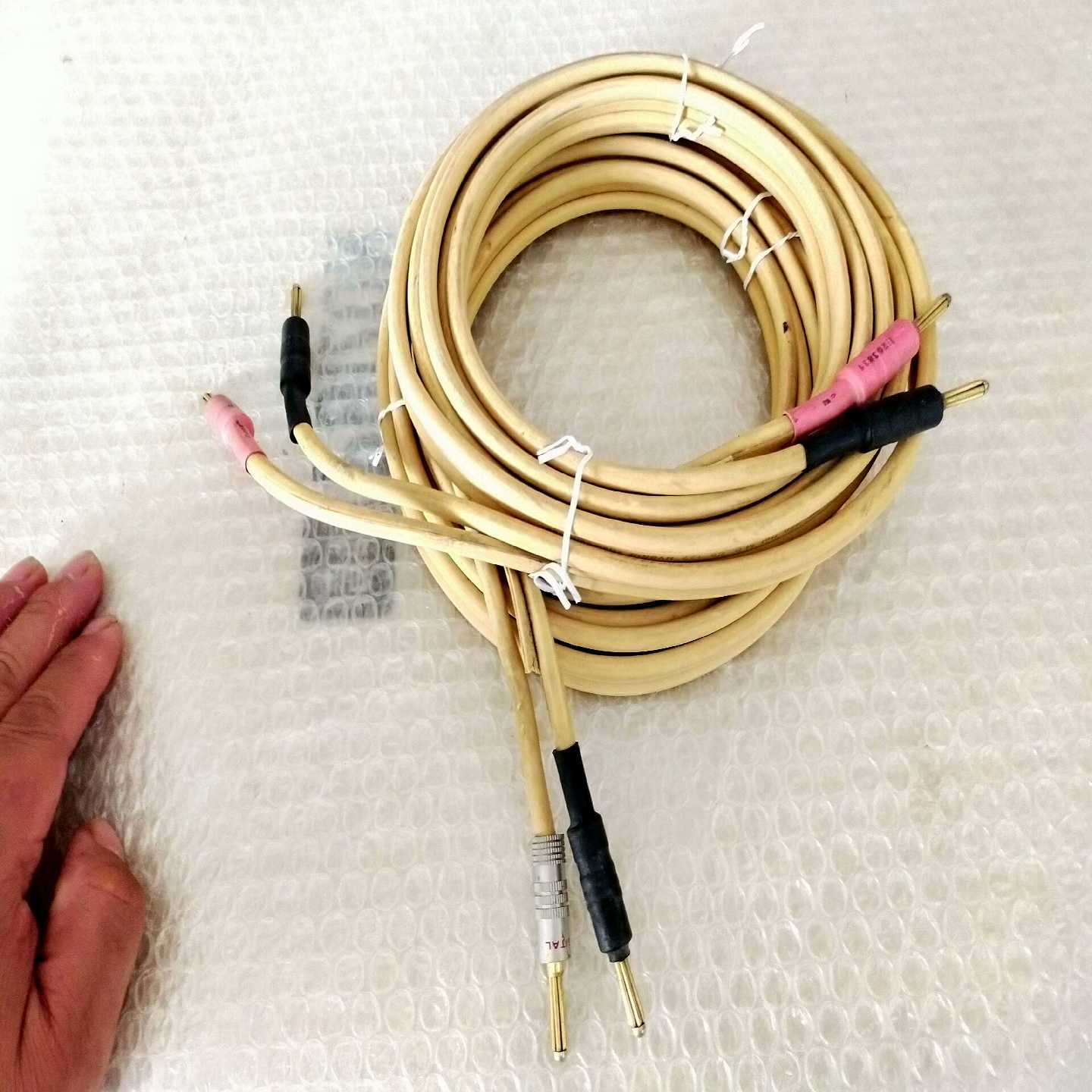 荷兰范登豪CS122金字镀银喇叭一对，-议价