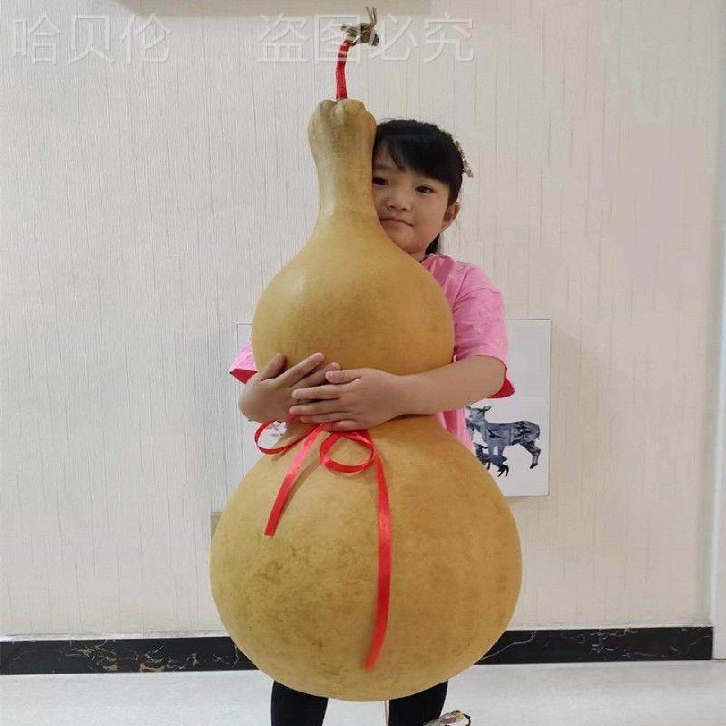 莲花压腰大号摆件八宝葫芦手把件卧室天然葫芦客厅装饰挂件办公室
