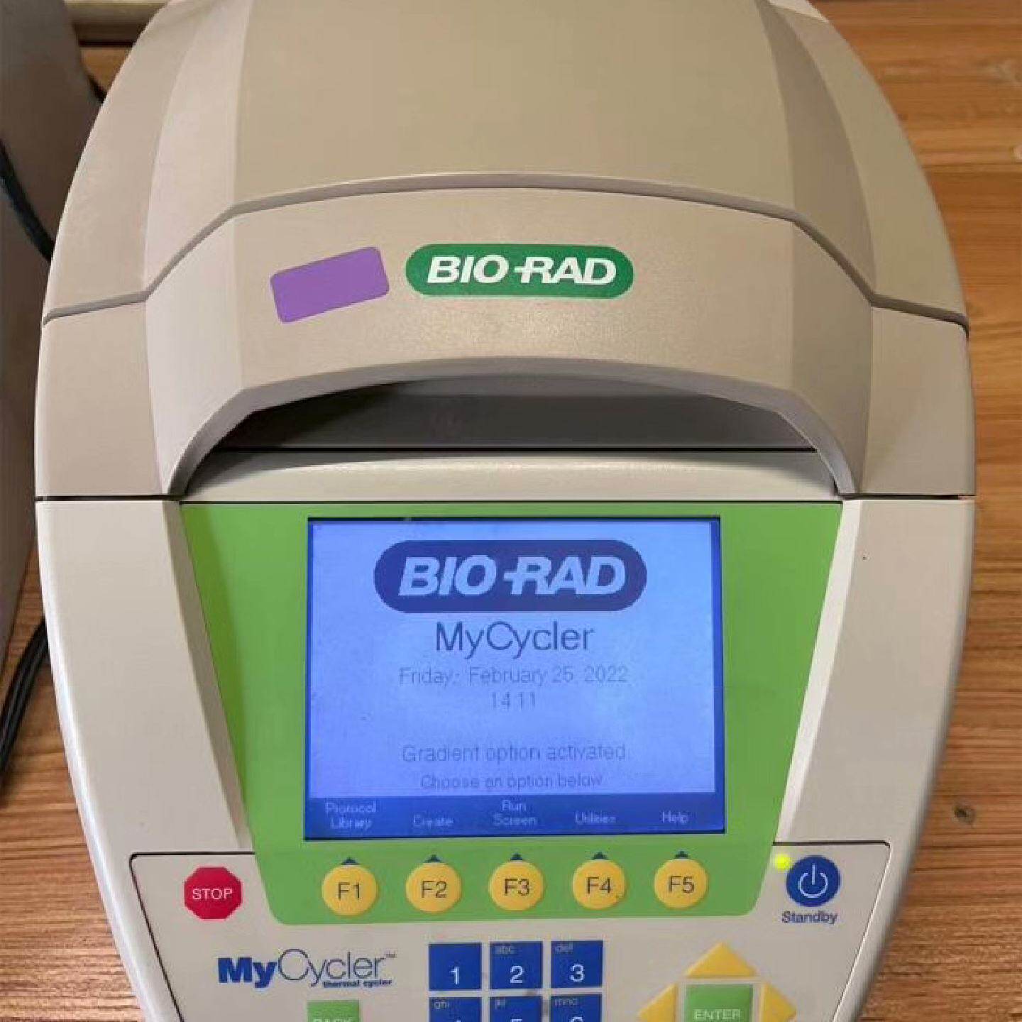 伯乐mycycler96孔PCR仪梯度pcr仪大屏幕--议价商品