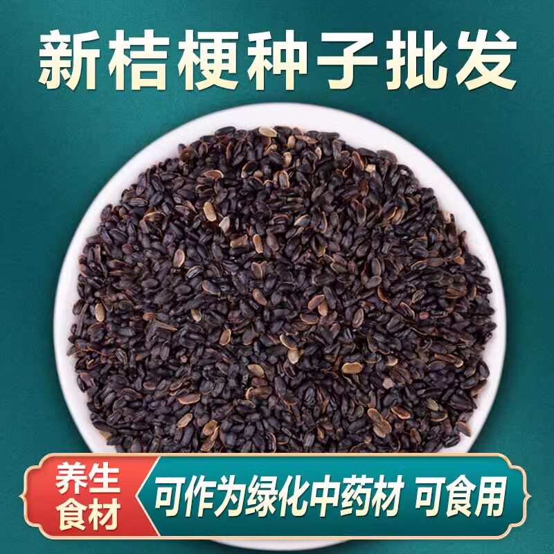 中药材桔梗种子籽四季植苗图片