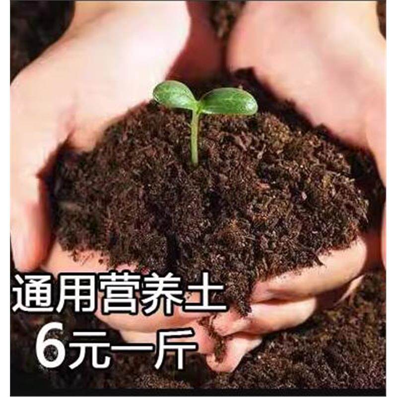 花泥多肉植物营养土大包种花土通用型绿萝种植土多肉专用土壤包邮
