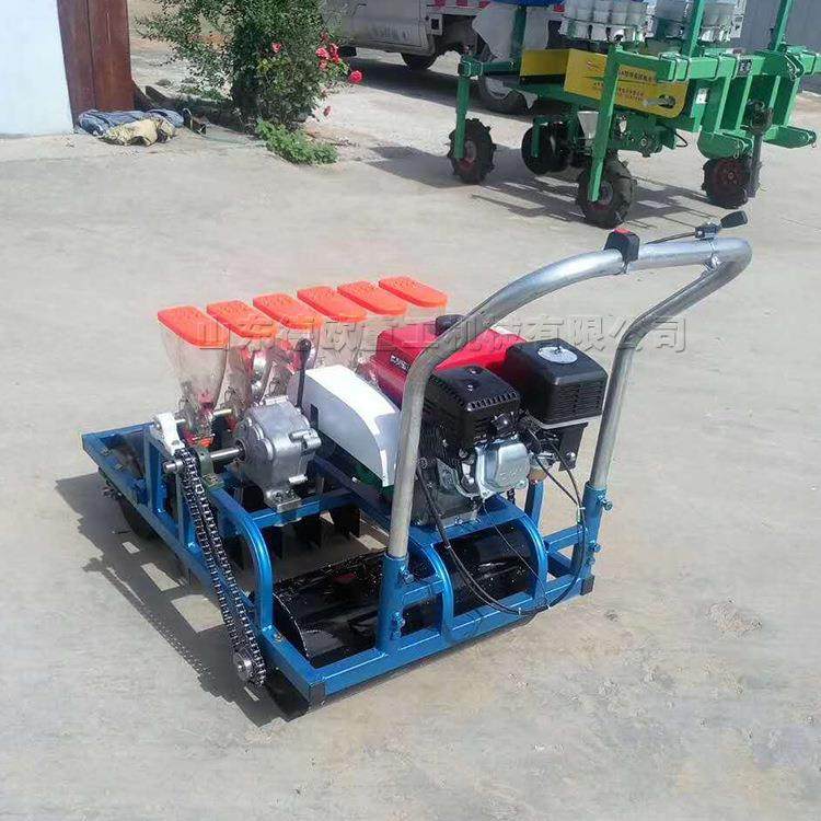 小型蔬菜播种机农作物小颗粒种子点播机圆孔型播种轮种子条播机,农机/农具/农膜,播种栽苗器/地膜机,淘宝优惠券,粉丝福利购,淘宝优惠卷