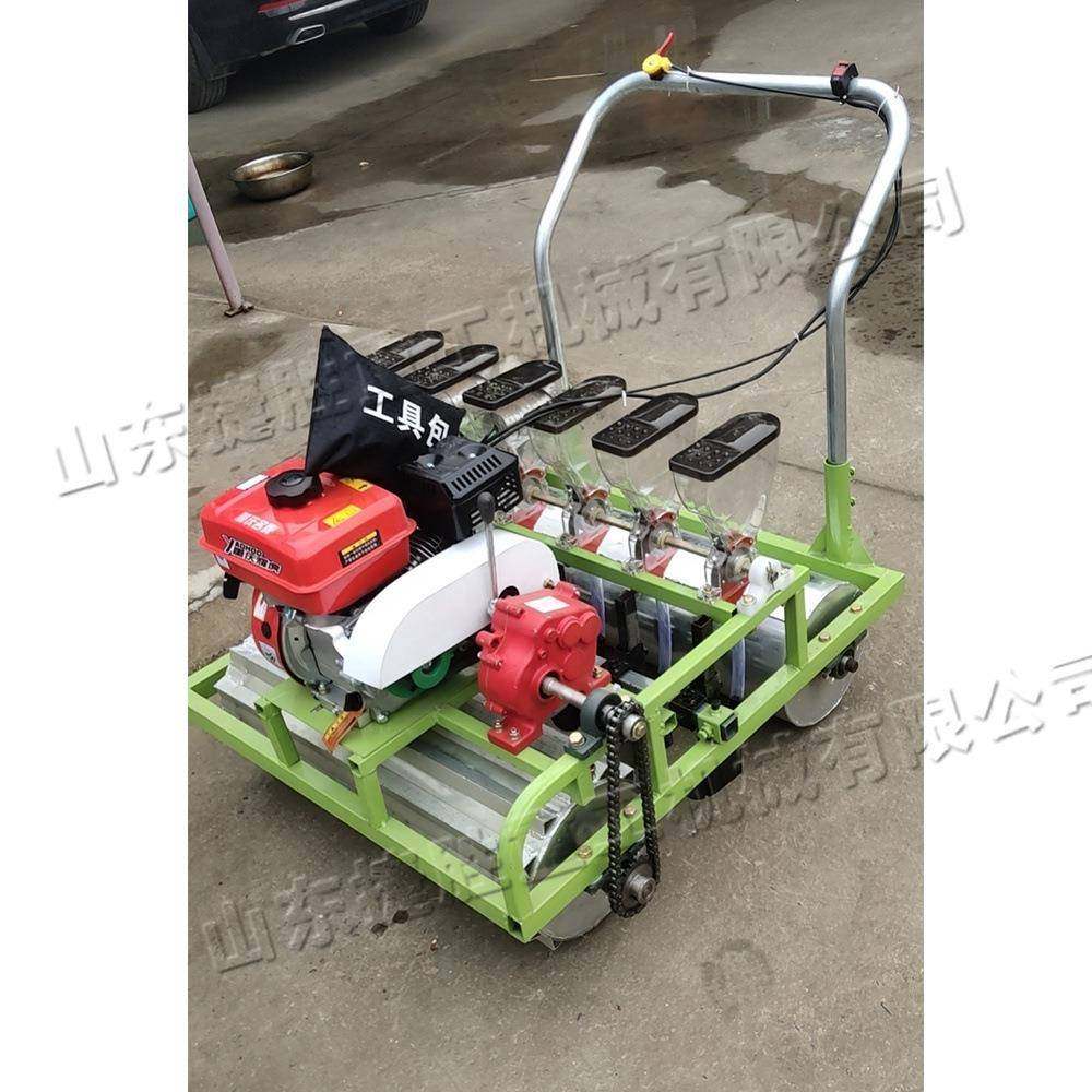 小型手推式蔬菜播种机辣椒白菜种子点播机农业种子可调节播种机,农机/农具/农膜,播种栽苗器/地膜机,淘宝优惠券,粉丝福利购,淘宝优惠卷