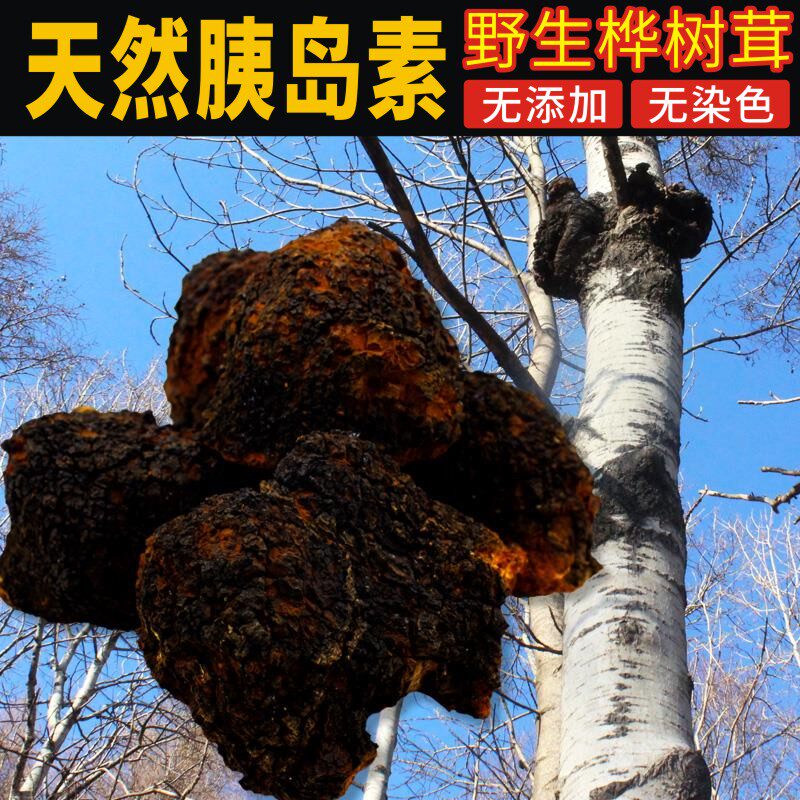 纯长白山野生桦树茸正品桦树泪桦褐孔菌天然胰岛素华树白桦茸一斤