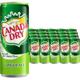 加拿大CANADA DRY 姜汁汽水干姜水生姜水330ml/罐进口碳酸饮料