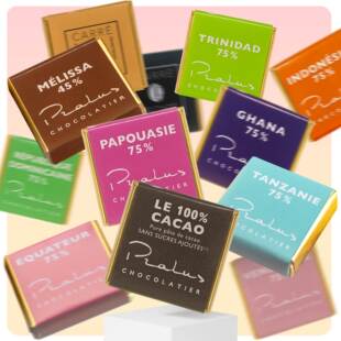 法国普阿鲁斯 Pralus 75%黑巧克力多产区可可5g小包装品鉴装10送1