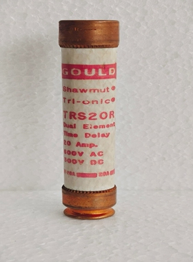 GouldShawmuttrs20r/TRS20R双元件延迟保险丝