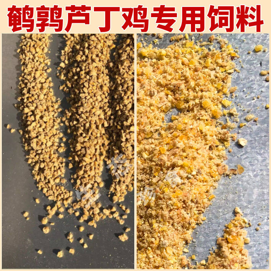 纯粮谷物芦丁鸡专用饲料鹌鹑产蛋育雏开口食料卢丁小鸡通用下