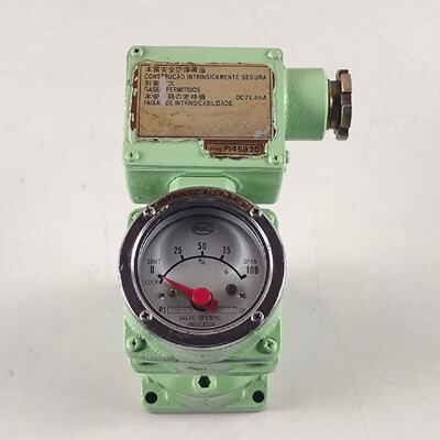 Indicateur DOuverture De Soupape Ovale PI45B20 8872 CC