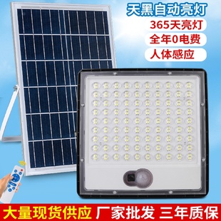 太陽能燈人體感應戶外庭院燈投光燈院子照明燈路燈 新款