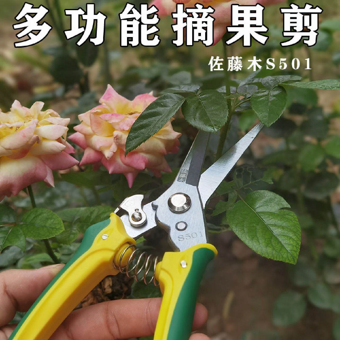 台湾佐藤木S501稀果修果剪摘果剪葡萄修枝专用剪刀疏花疏果剪子采