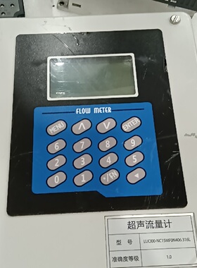 议价Dynasound Ultrasoc Flow Meter Luci00Nc15mf0n406 316适用