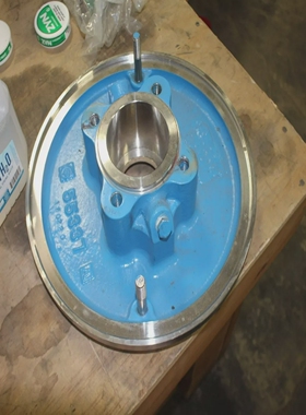 NEWGOULDSPUMPPLATE55337