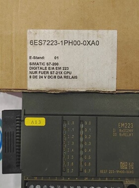 Siemens 6ES7 2231PH000XA0 Digital IO EM 223 Estand01 8DO 24V