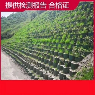 土工格室护坡高强土工格室蜂巢土工格带排水孔格室高分子土工格