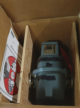 FOXBOROM/2800系列磁性流管2891-SBBB-PPA-G