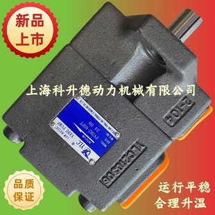 65F1定量泵35V38A YLC定量液压油泵PV2R2